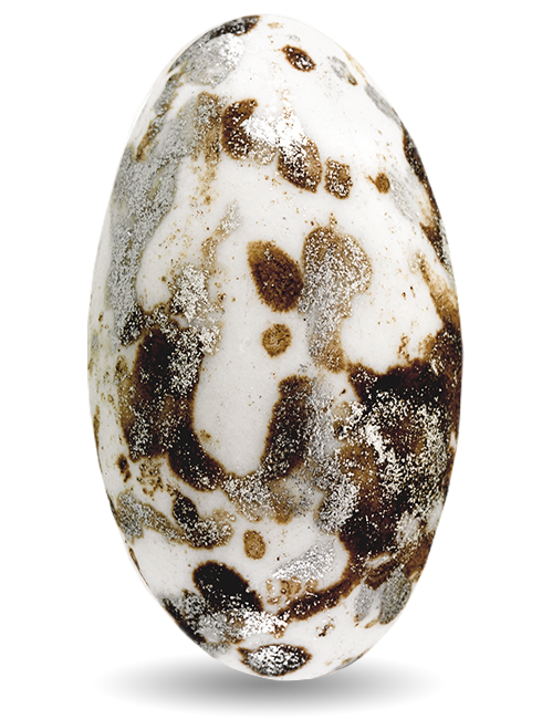 <span>My Choco</span> Καφέ