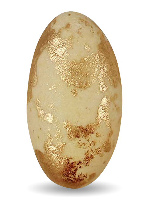 <span>Choco Splash</span> Μπεζ Bronze