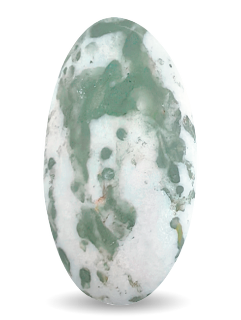 <span>Choco Splash</span>  Eucalyptus